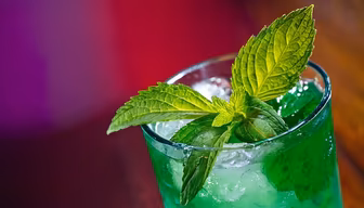 Refreshing Mint Julep