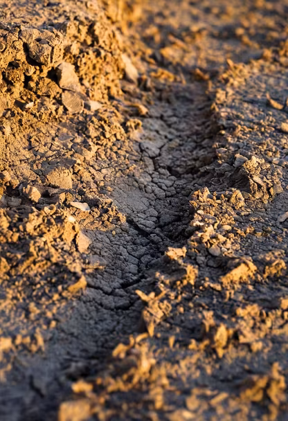Dry Earth Dry Earth