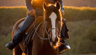 Golden Hour Ride