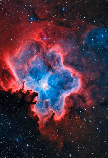 Cosmic Heart