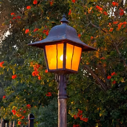 Evening Glow Evening Glow
