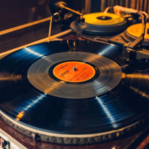 Vinyl Vibes