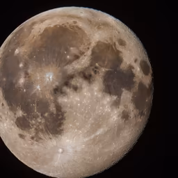 Lunar Beauty