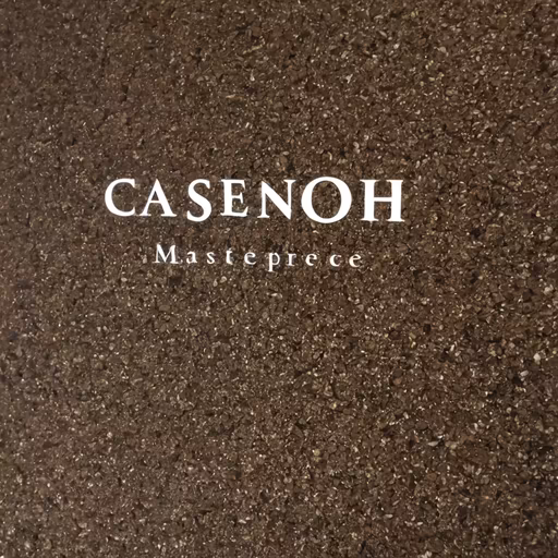 Casenoh Masterpiece