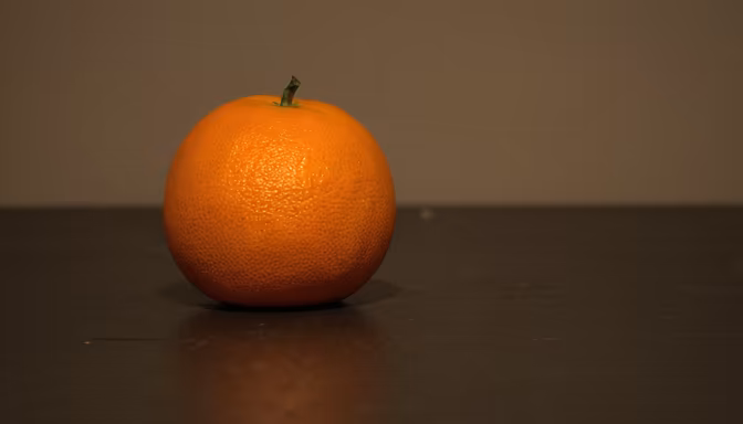 Citrus Still Life