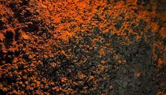 Volcanic Earth Volcanic Earth