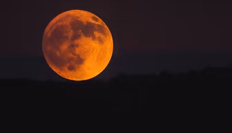 Harvest Moon