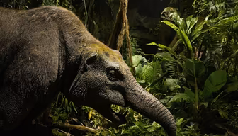 Primeval Encounter
