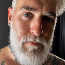 Silver Fox Silver Fox