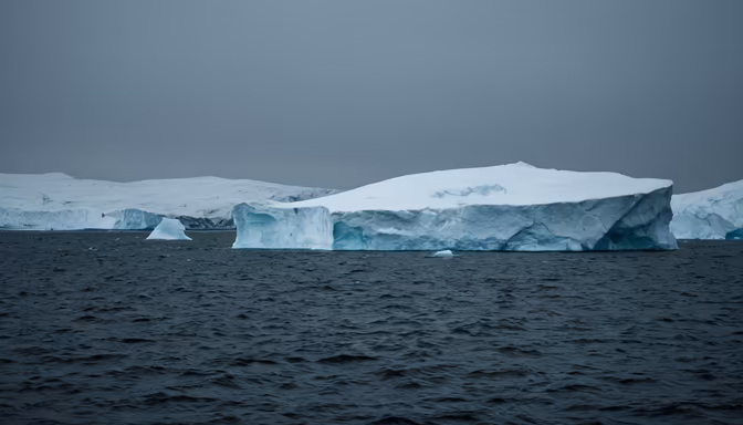 Antarctic Giants