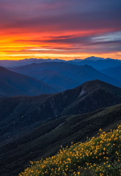 Mountain Majesty
