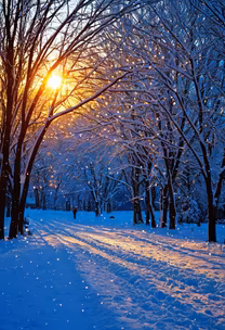 Winter's Glow Winter's Glow