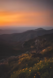 Mountain Majesty Mountain Majesty