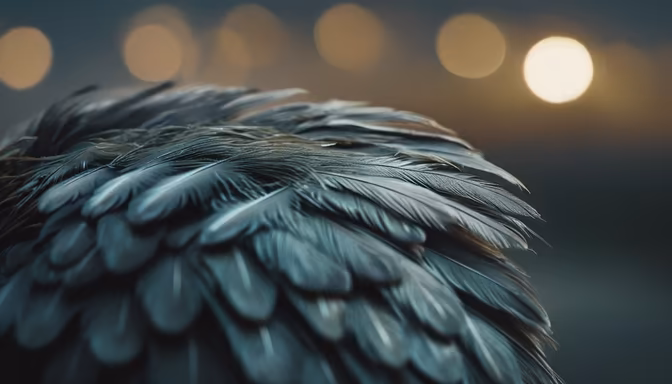 Feathered Dreams