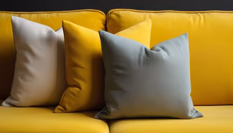 Cozy Couch Cozy Couch