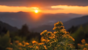 Mountain Sunset Mountain Sunset