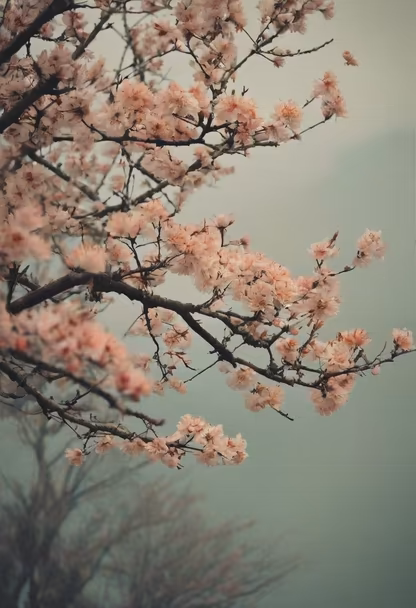 Spring Awakening