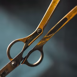 Vintage Scissors Vintage Scissors