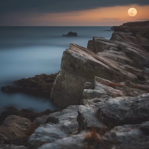 Moonlit Coast