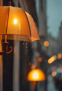 Rainy Night Lights Rainy Night Lights