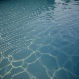 Poolside Reflections Poolside Reflections