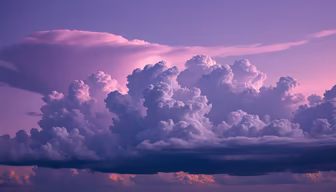 Purple Skies Purple Skies