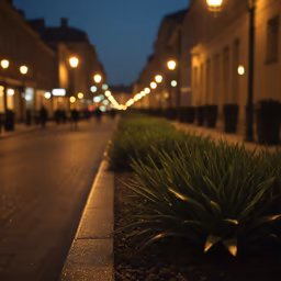 City Lights City Lights