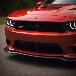 Red Muscle Red Muscle