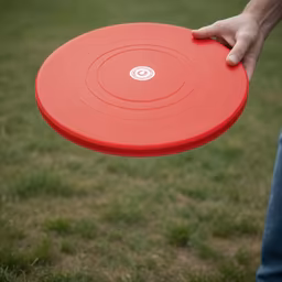 Frisbee Fun Frisbee Fun