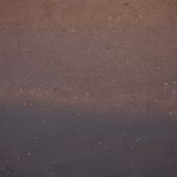 Earthy Textures Earthy Textures