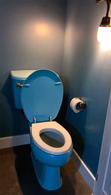 Bathroom Blues Bathroom Blues