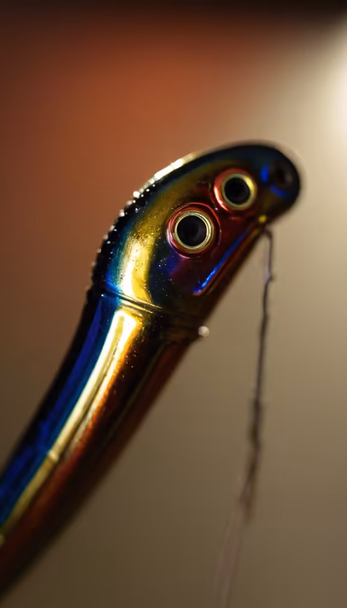 Lure