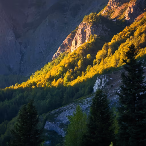 Mountain Majesty