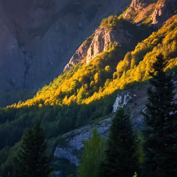 Mountain Majesty Mountain Majesty