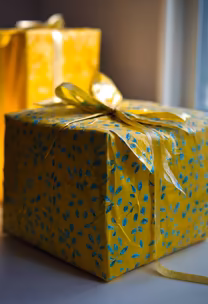 Wrapped in Joy