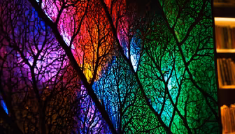 Colorful Canopy