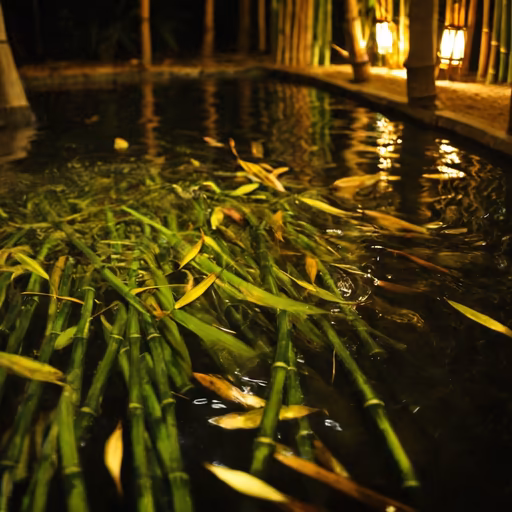 Bamboo Serenity