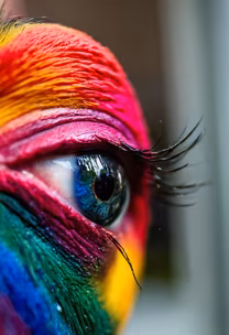 Rainbow Vision Rainbow Vision