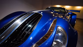 Blue Beauty Blue Beauty