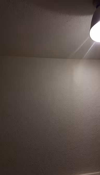 Simple Aesthetics Simple Aesthetics