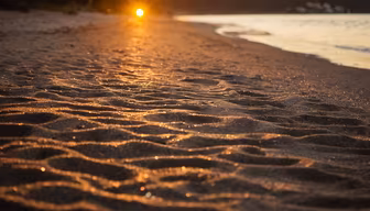 Golden Hour Beach Golden Hour Beach