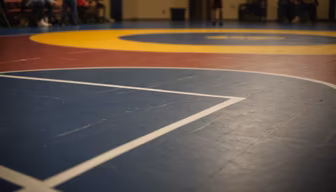Wrestling Arena