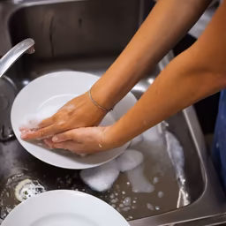 Dishwashing Time Dishwashing Time