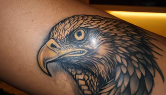 Eagle Eye Eagle Eye