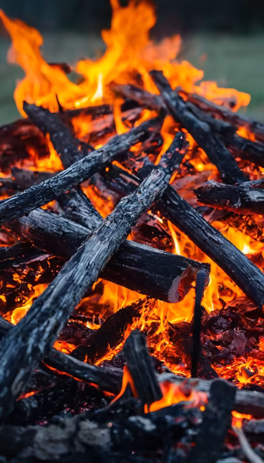 Bonfire Nights Bonfire Nights