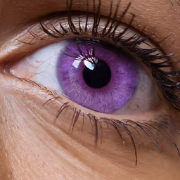 Violet Vision Violet Vision