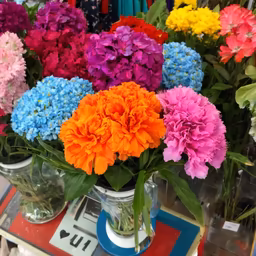 Floral Fiesta Floral Fiesta