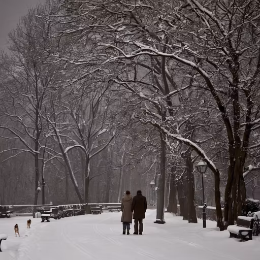 Winter stroll