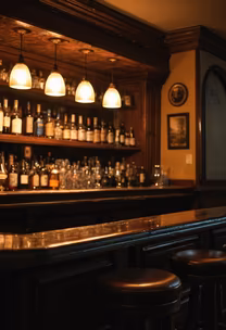 Cozy Bar Ambiance Cozy Bar Ambiance