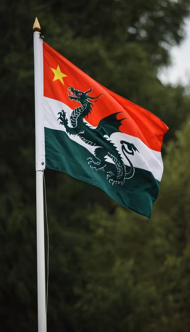 The Dragon Flag